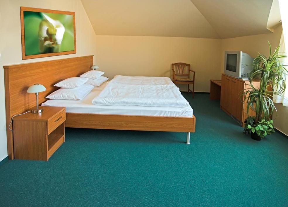 Promedicum Panzio Hotel Veszprém Quarto foto