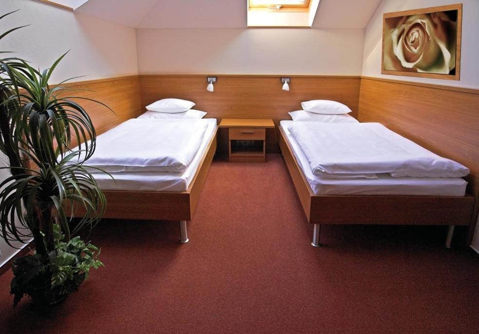 Promedicum Panzio Hotel Veszprém Quarto foto
